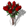 jador lé roses c mé fleur préféré!!!!